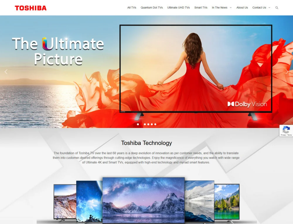 Toshiba project portfolio showcase